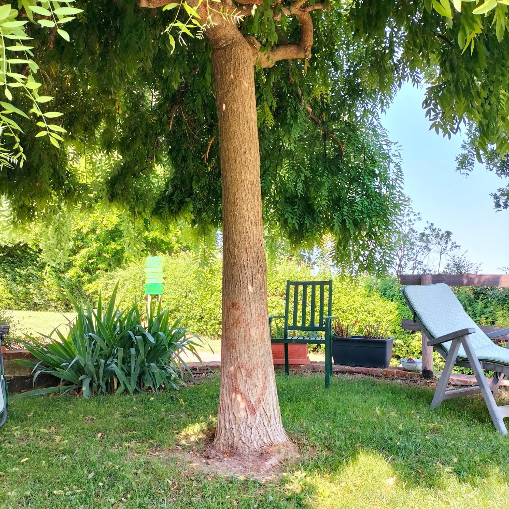 Ca' Dei Gelsi B & B Кориано Экстерьер фото