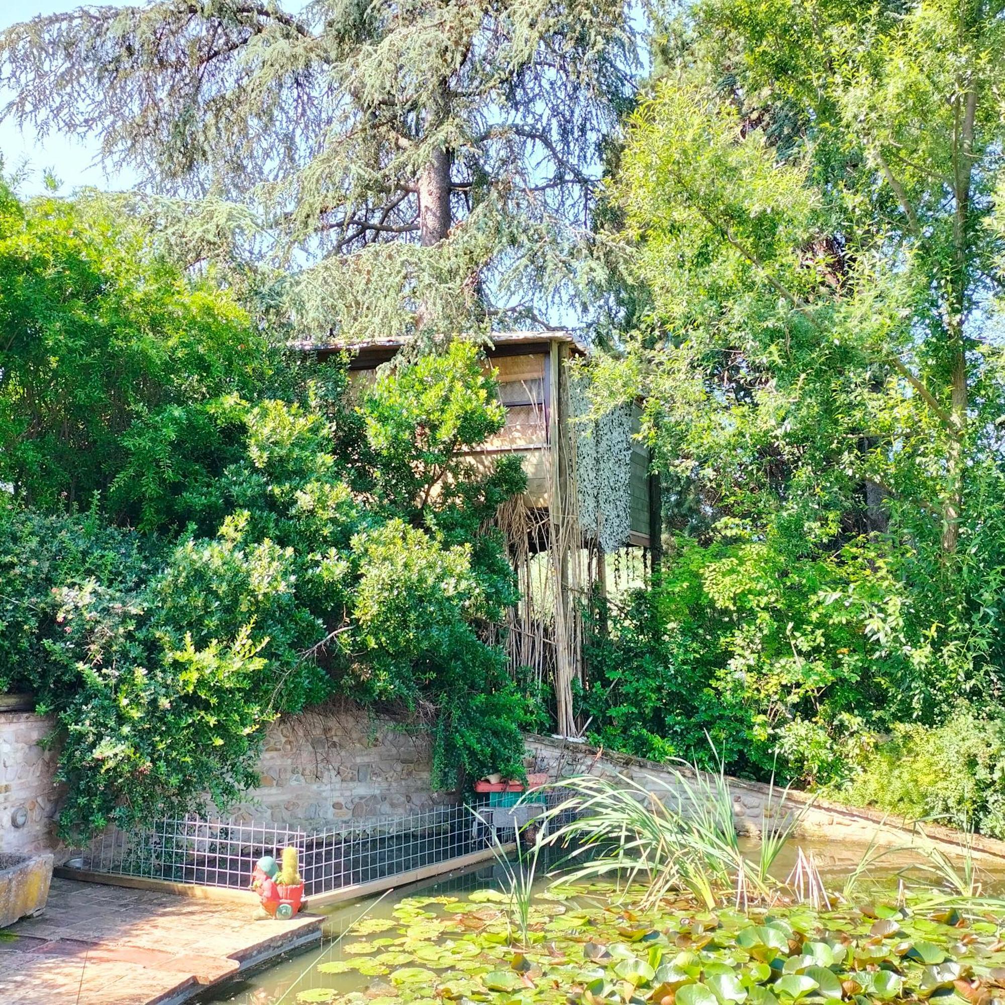Ca' Dei Gelsi B & B Кориано Экстерьер фото